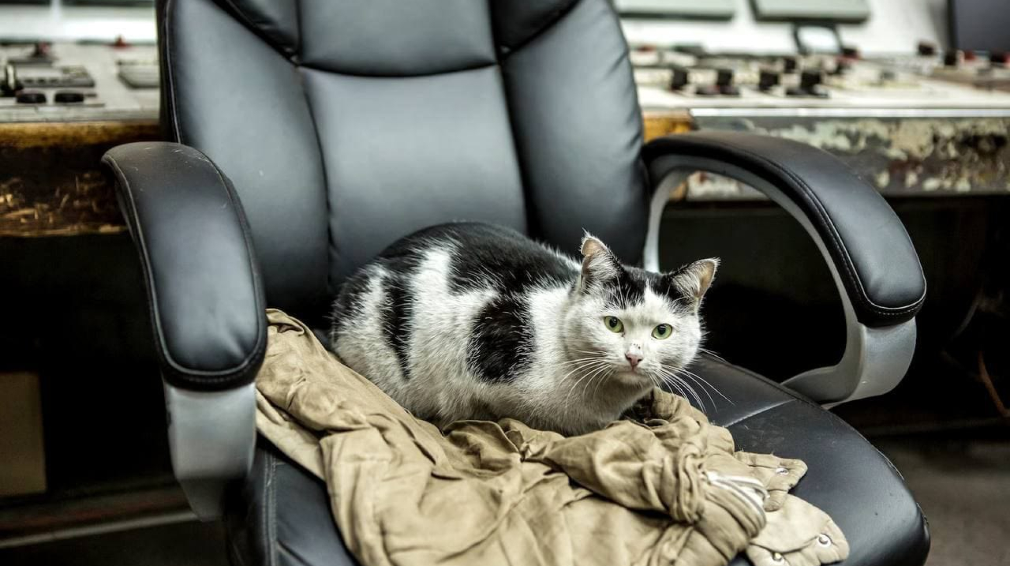 IMG_20260319_164122_509