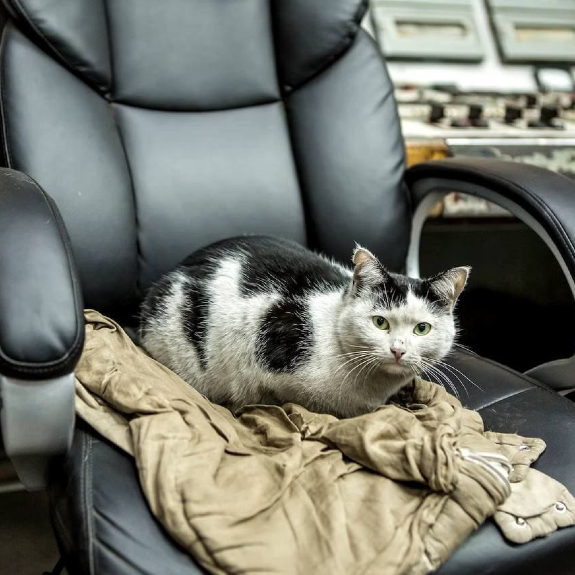 IMG_20260319_164122_509