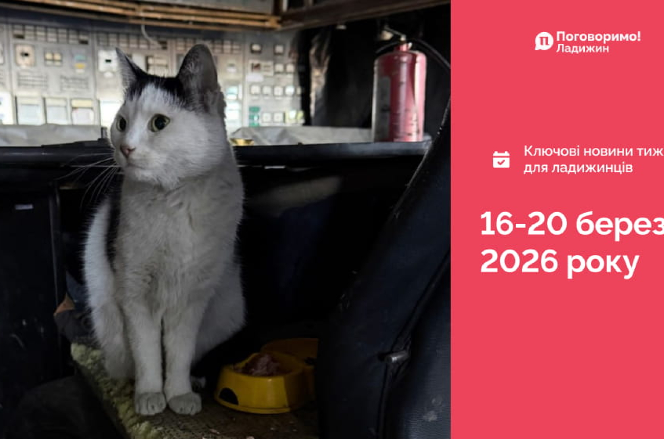 IMG_20260323_104017_511