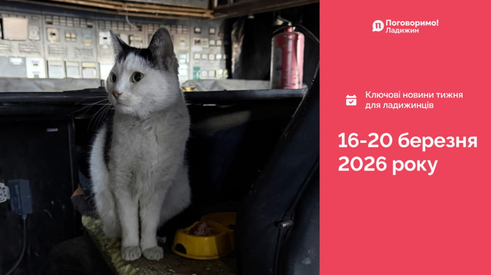 IMG_20260323_104017_511