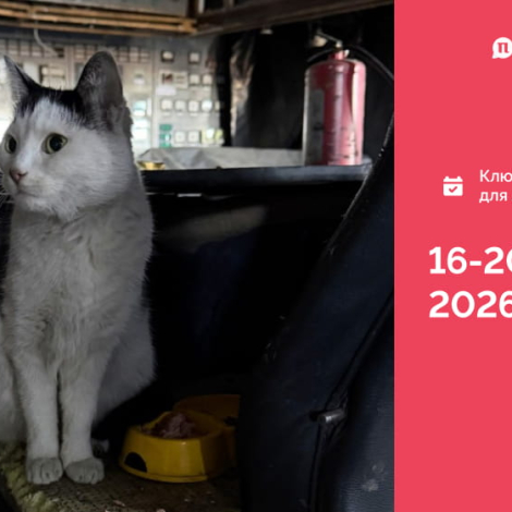 IMG_20260323_104017_511