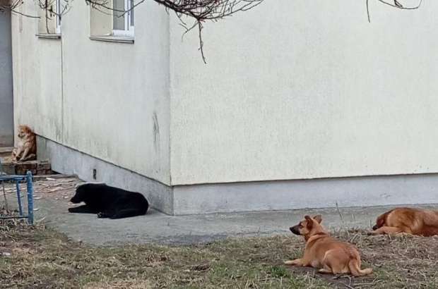 IMG_20260323_124500_676