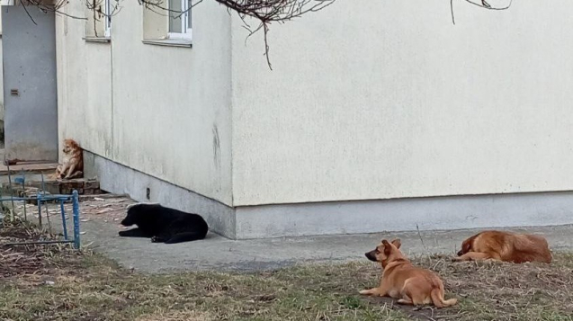 IMG_20260323_124500_676