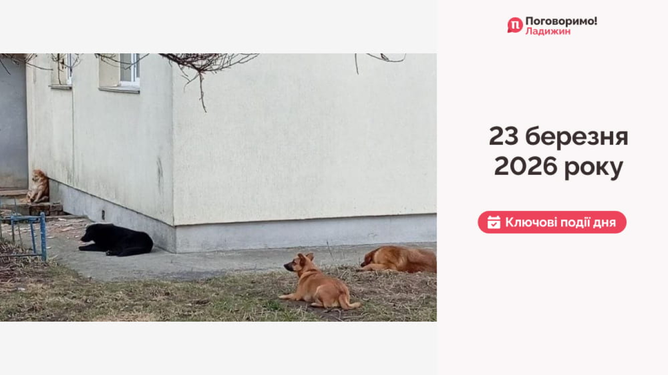 IMG_20260324_105243_478