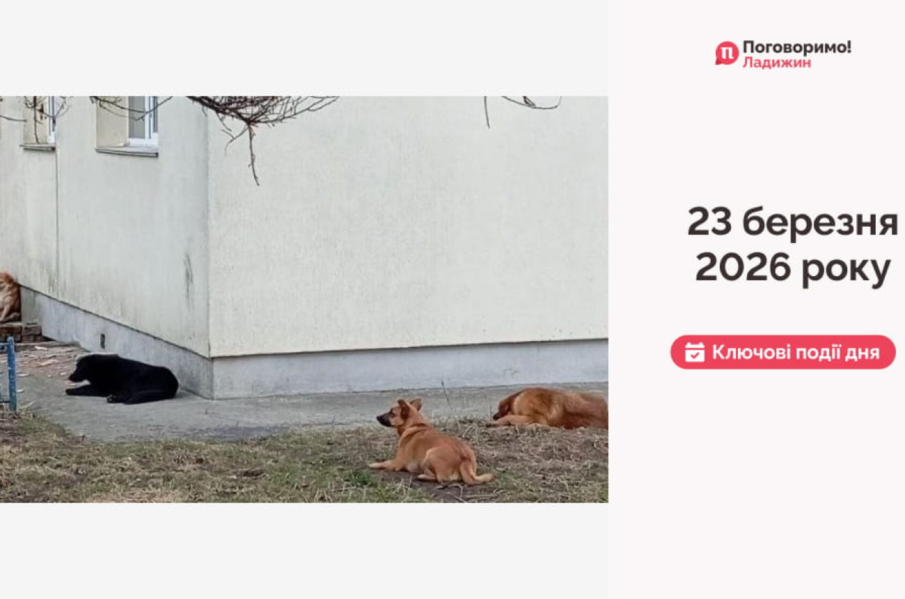 IMG_20260324_105243_478