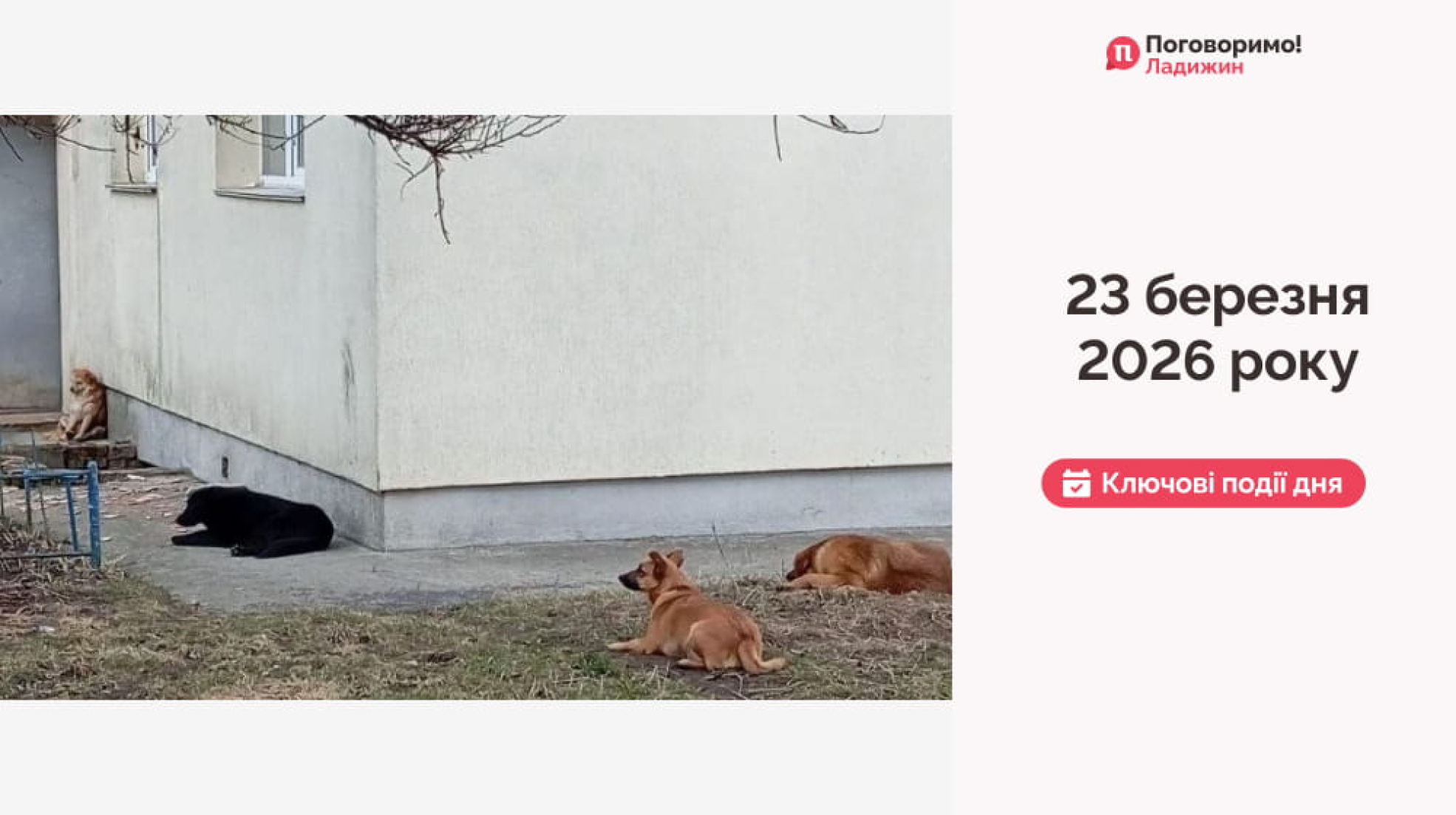 IMG_20260324_105243_478