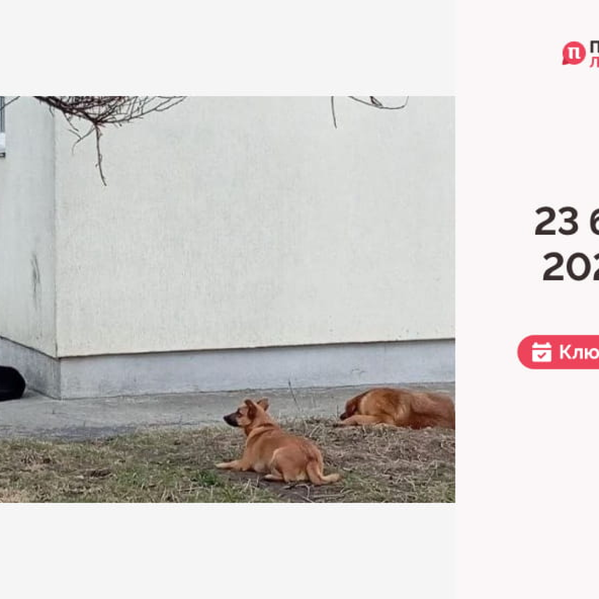 IMG_20260324_105243_478