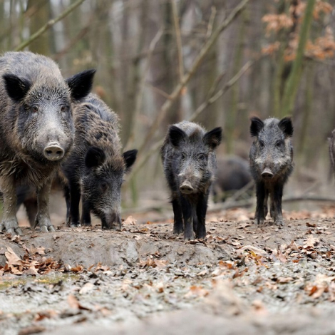 IMG_20260327_151328_377