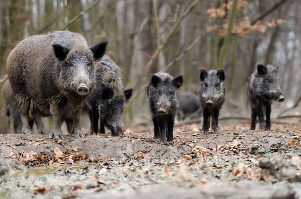 IMG_20260327_151328_377