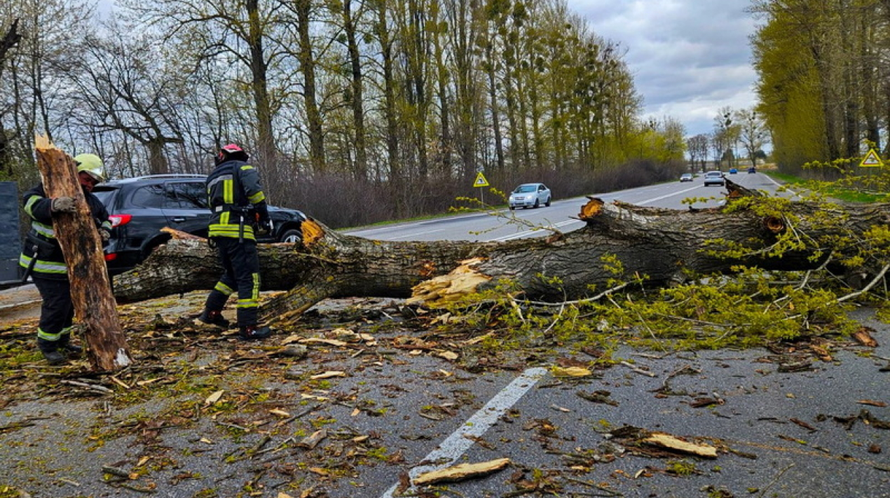 2026-04-24t070857233z-hvg-4