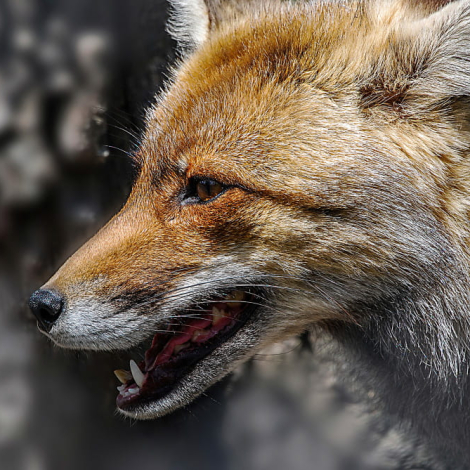 253ad13-6c70-4dc1-b946-36fc42b17341