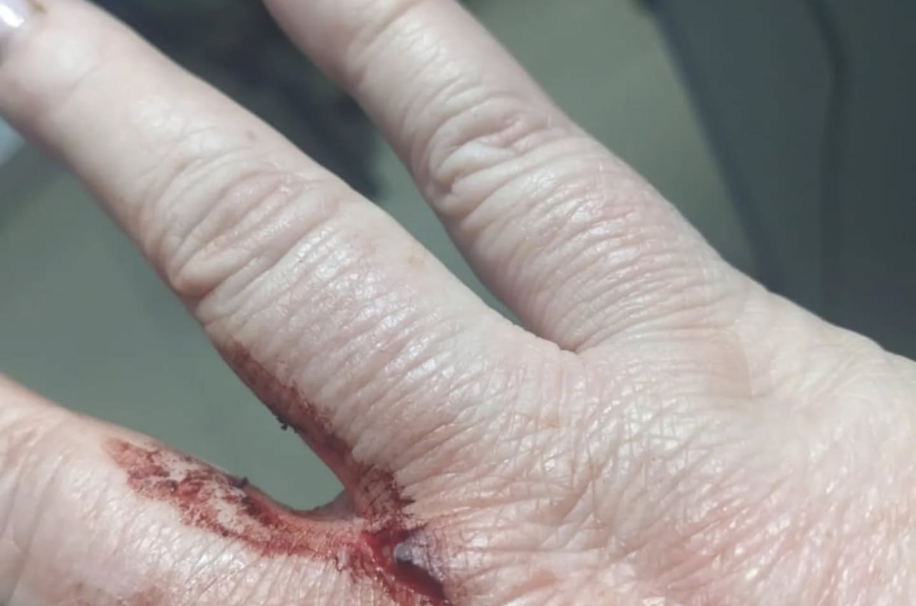 5ce14135-b1e2-4f0f-aec1-dd5fb73ca98f