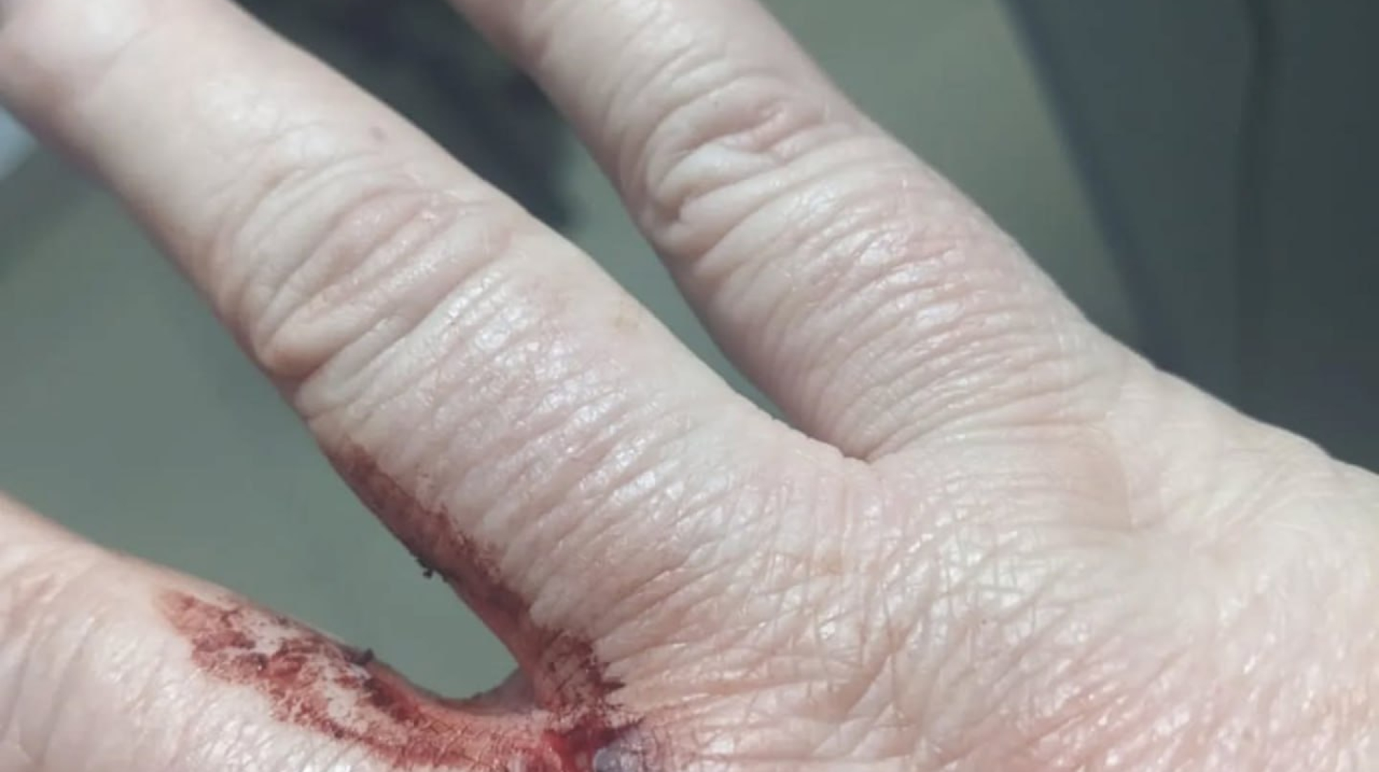 5ce14135-b1e2-4f0f-aec1-dd5fb73ca98f