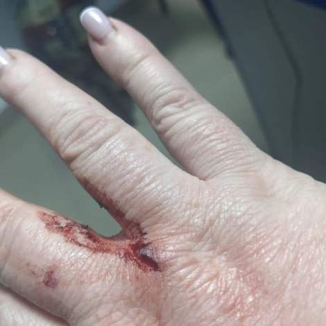 5ce14135-b1e2-4f0f-aec1-dd5fb73ca98f