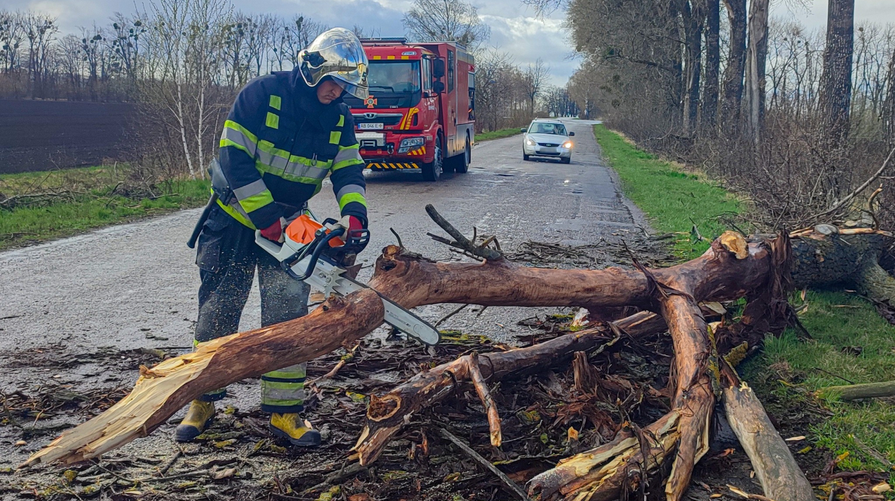 666613922_1433906178748934_8488251021913873986_n