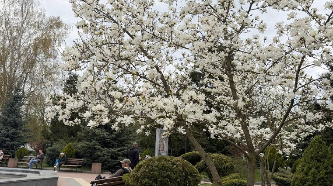 685a270-9509-43ba-a2f8-8dbc4b65411a