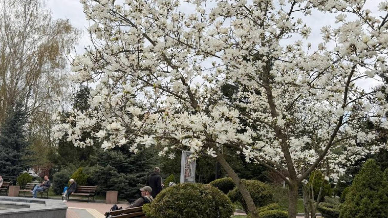 685a270-9509-43ba-a2f8-8dbc4b65411a