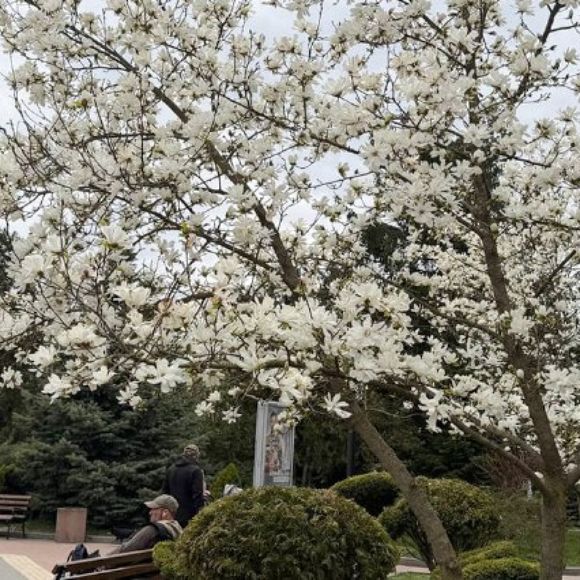 685a270-9509-43ba-a2f8-8dbc4b65411a