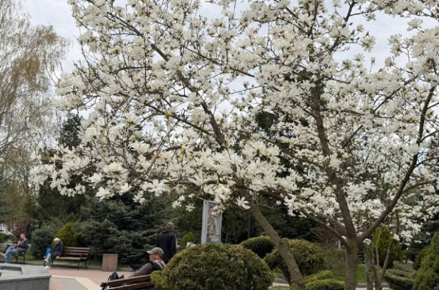 685a270-9509-43ba-a2f8-8dbc4b65411a