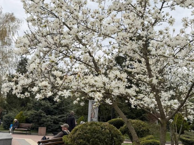 685a270-9509-43ba-a2f8-8dbc4b65411a