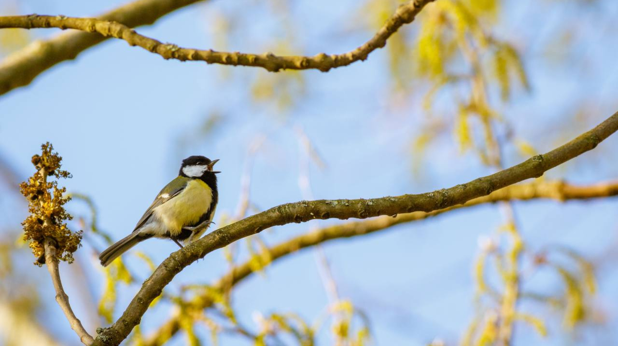 722a6c-1a08-4327-8b77-498979c28000