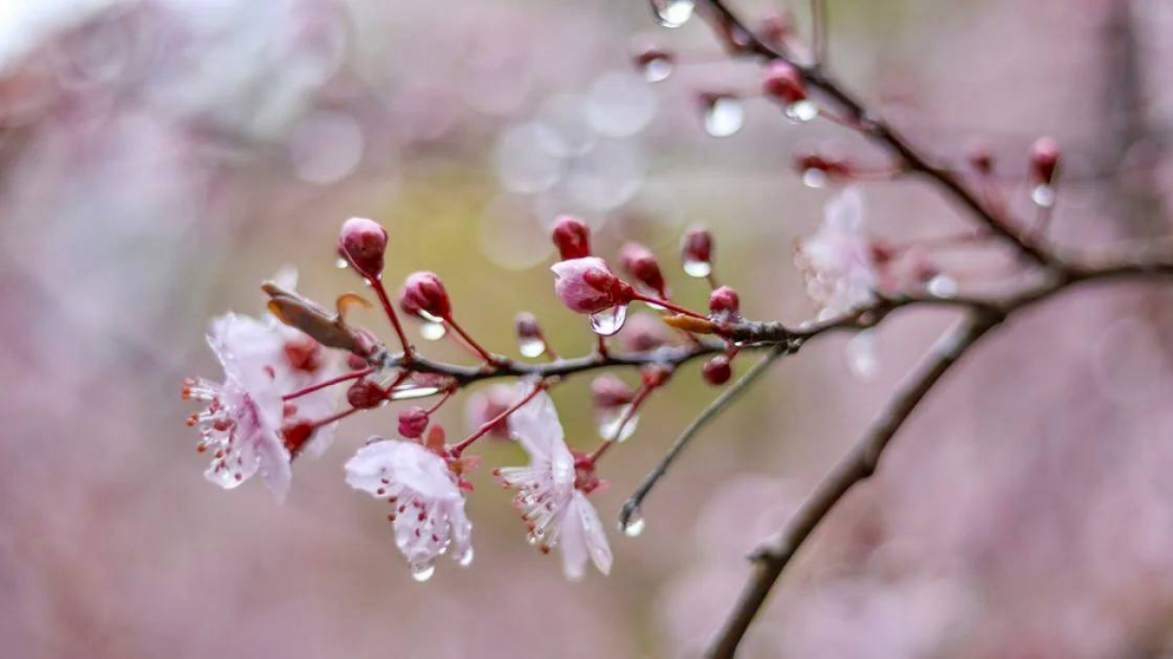 8a8eb912-df69-4f61-855c-3c286d65f8e3