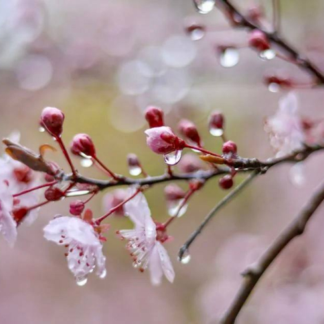 8a8eb912-df69-4f61-855c-3c286d65f8e3