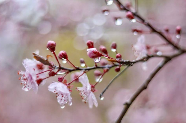 8a8eb912-df69-4f61-855c-3c286d65f8e3