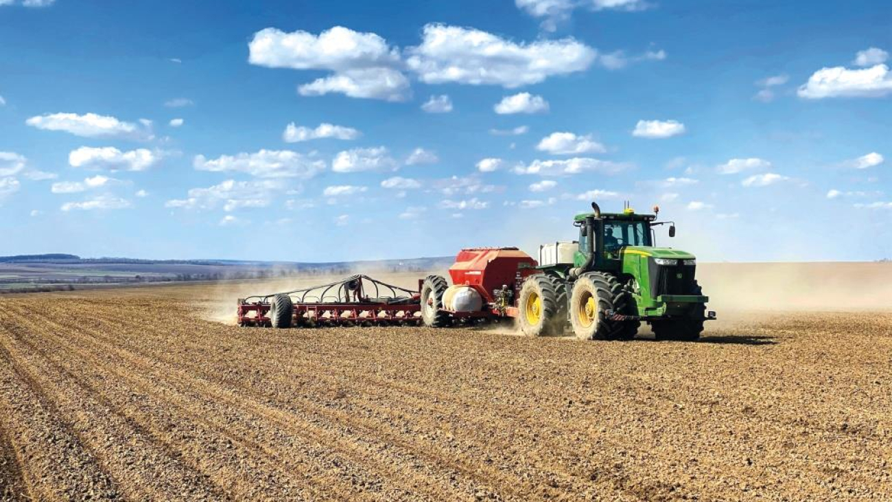 Continental_posiv_soniashnyku