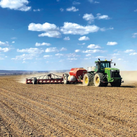 Continental_posiv_soniashnyku