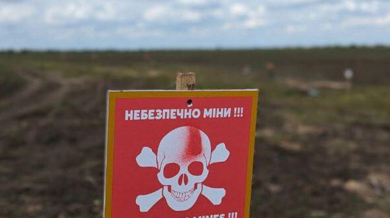 Сайт обкладинка 210 (1)