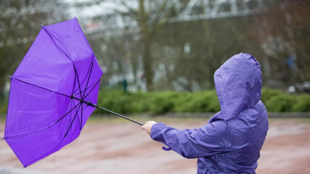 d26dd410-5d8e-4e2d-9408-82809d4abc13