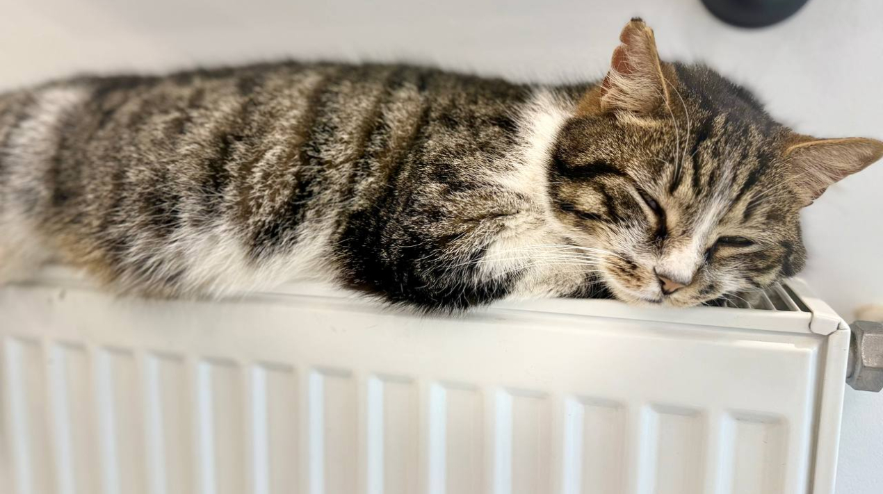 d90b0341-fbc9-417c-aae9-806ae71efc5a