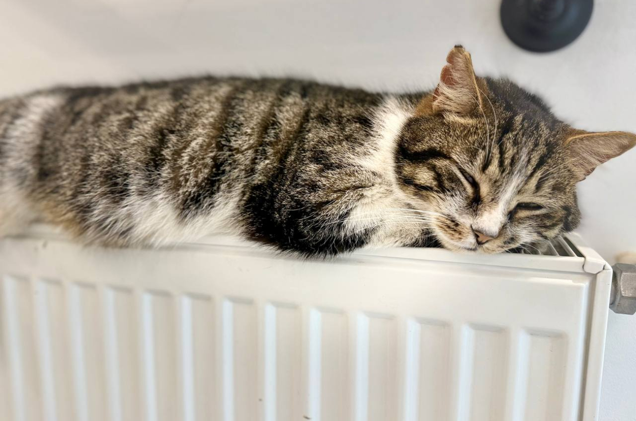 d90b0341-fbc9-417c-aae9-806ae71efc5a