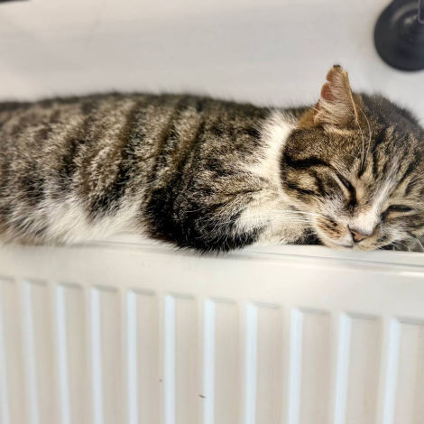 d90b0341-fbc9-417c-aae9-806ae71efc5a