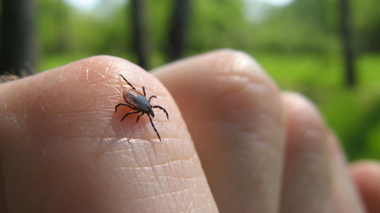 o_1ea9kdpplq3guubjr5cro11793v