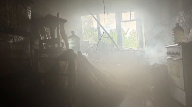 photo_5406710591663052954_y