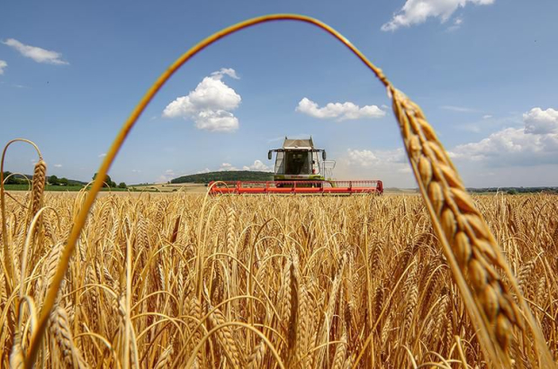 news_1751222115_68618763684a5