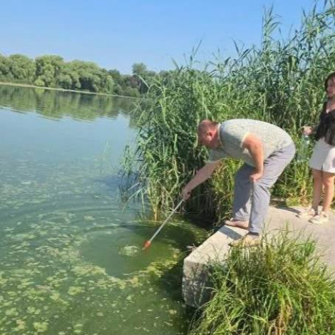 photo_5451980371596614036_x